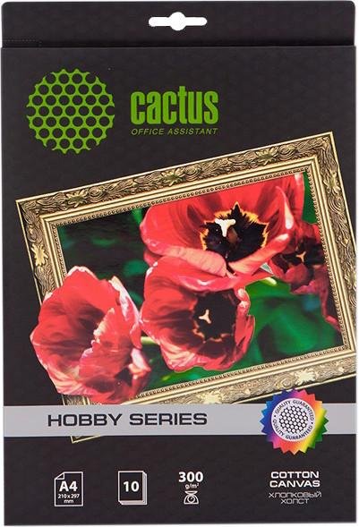 Cactus CS-СA426010 A4/300г/м2/10л